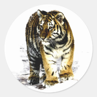 Sticker Rond Tigre