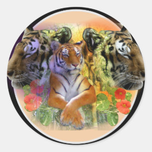 Sticker Rond Tigre au zoo Henry Doorly