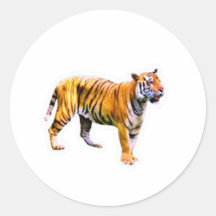 Tigre de Sumatra Majestueux - Conservation de la f