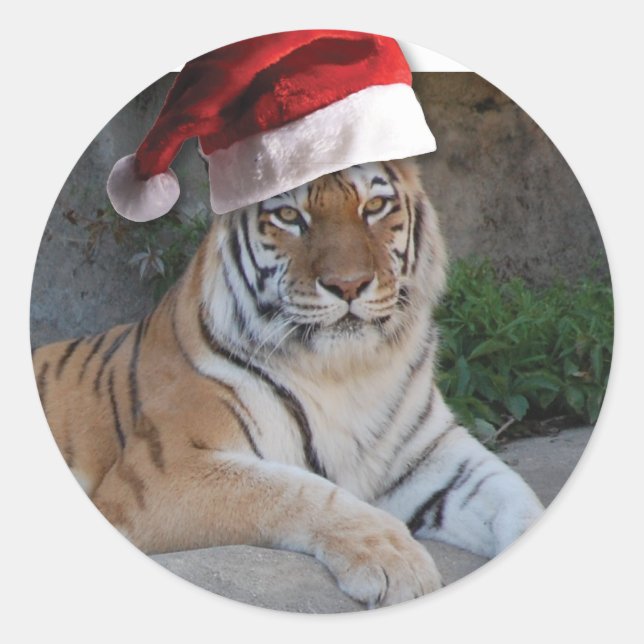 Sticker Rond Tigre du Bengale du Père Noël (Devant)