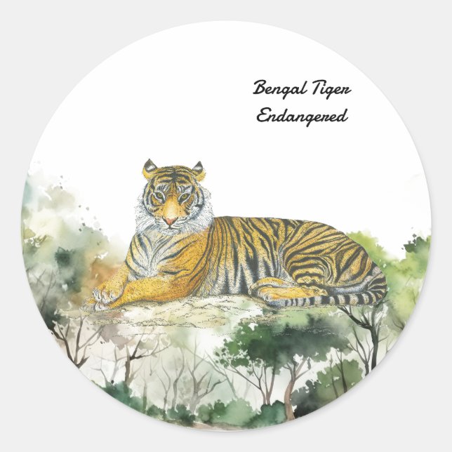 Sticker Rond Tigre du Bengale Menacé Majestueux peint à la main (Devant)