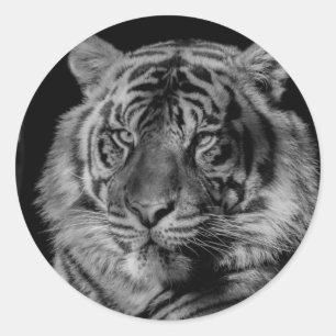 Sticker Rond Tigre noir et blanc