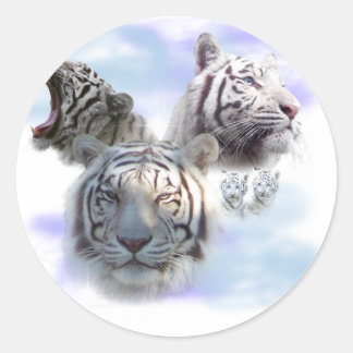 Sticker Rond Tigres blancs