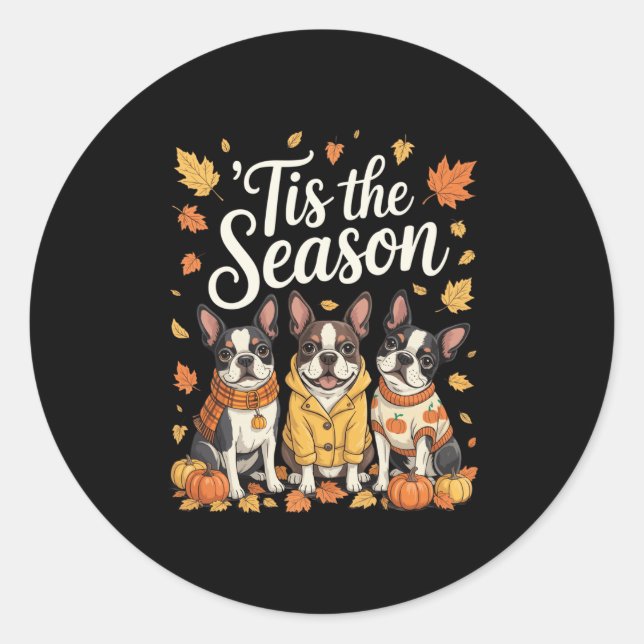 Sticker Rond Tis The Season Boston Terrier Fall Autumn Pumpkin  (Devant)