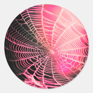 Sticker Rond Toile d'araignée rose noir créatif et effrayant