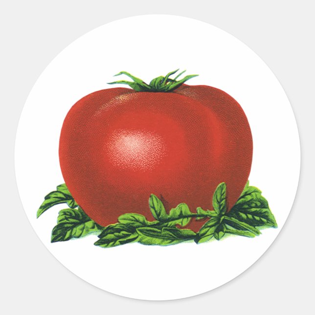 Sticker Rond Tomate rouge vintage, légumes et fruits (Devant)