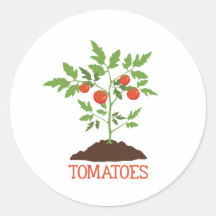 Sticker Rond Tomates