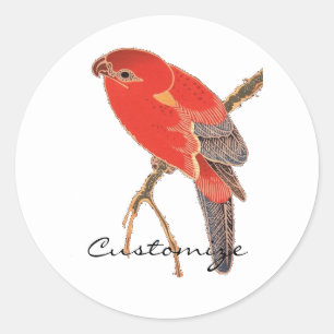 Sticker Rond Tonnerre de perroquet rouge tropical