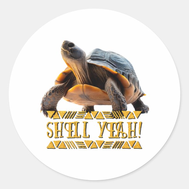 Sticker Rond Tortue 001 Shell Ouais ! (Devant)