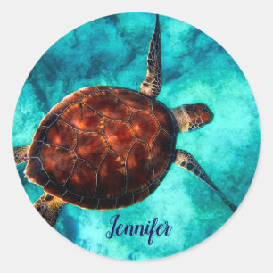 Sticker Rond Tortue de mer Vie marine