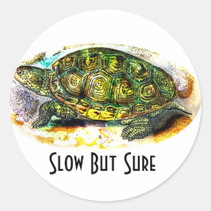 Sticker Rond tortue de terrapin de dos en forme de losange de