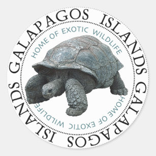 Sticker Rond Tortue des îles Galapagos