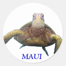 Tortue, MAUI