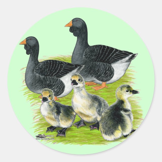 Sticker Rond Toulouse Goose (Devant)