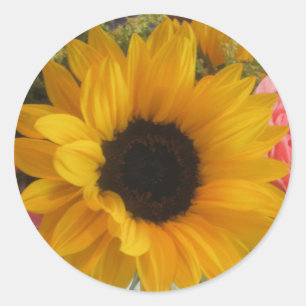Sticker Rond Tournesol