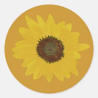 Sticker rond tournesol