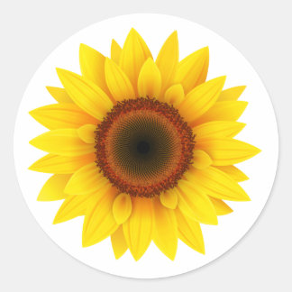 Sticker Rond Tournesol