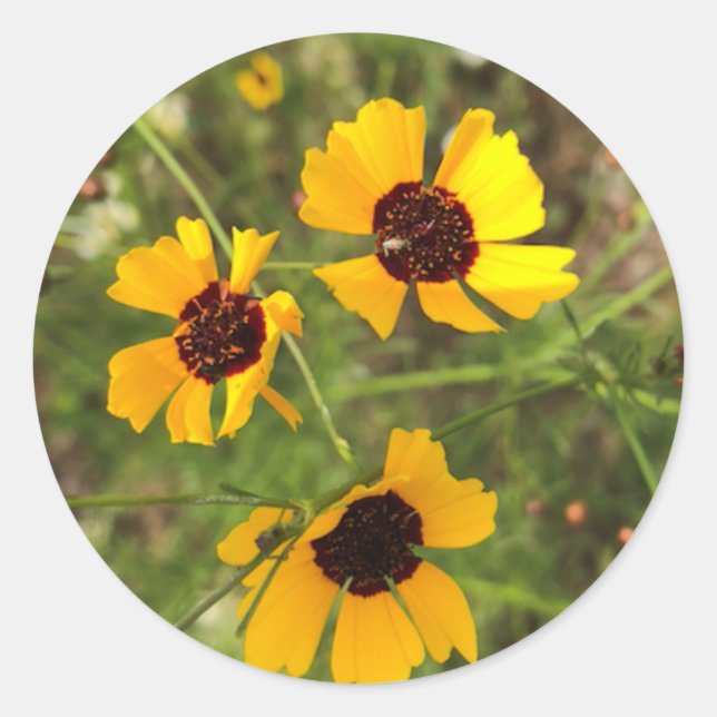 Sticker Rond Tournesol (Devant)