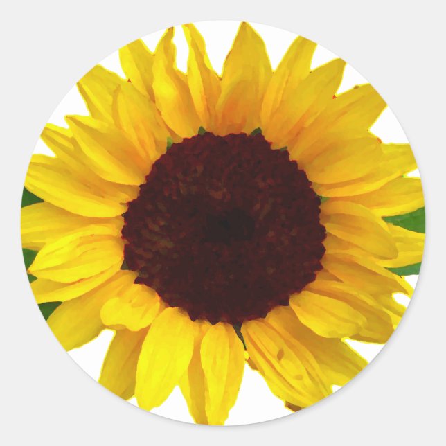 Sticker Rond Tournesol (Devant)