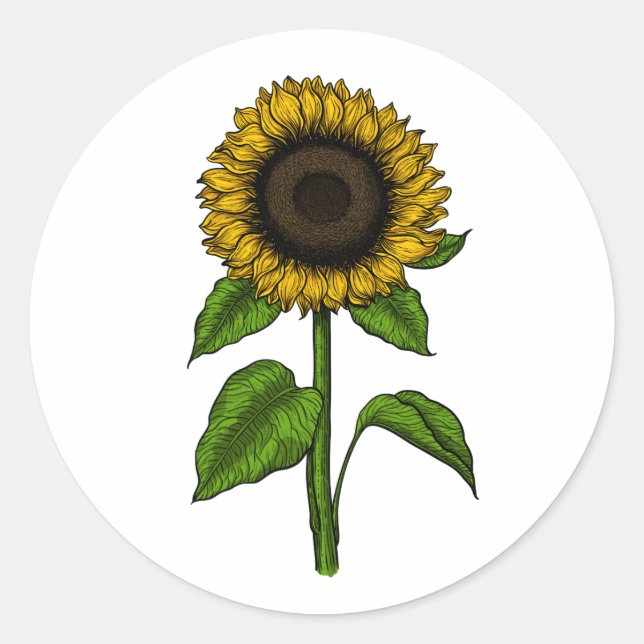 Sticker Rond Tournesol (Devant)