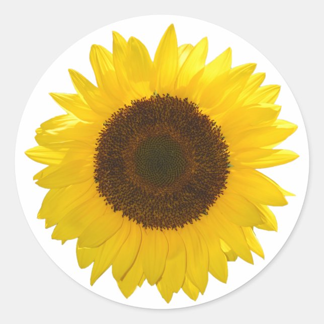 Sticker Rond Tournesol (Devant)