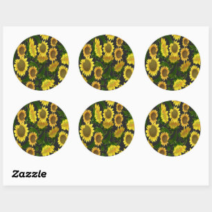 Sticker Rond Tournesol