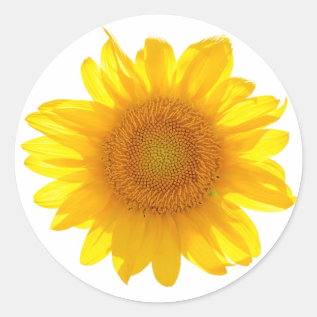 Sticker Rond Tournesol (Devant)