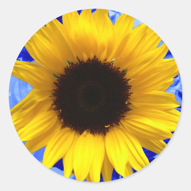 Sticker Rond Tournesol (Devant)
