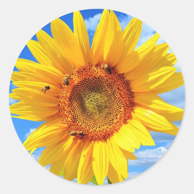 Sticker Rond Tournesol jaune et abeilles sur le ciel bleu - Jou (Devant)