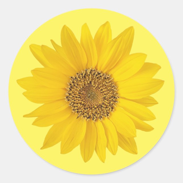 Sticker Rond Tournesol jaune simple (Devant)