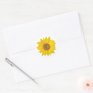 Sticker Rond Tournesol jaune sur fond blanc