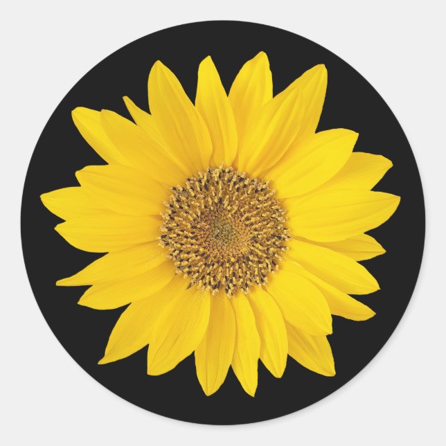 Sticker Rond Tournesol jaune sur noir (Devant)