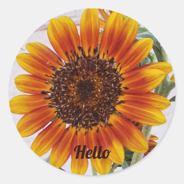 Sticker Rond Tournesol photo couleur orange jaune (Devant)