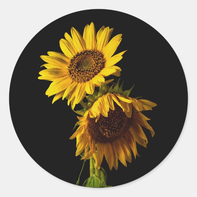 Sticker Rond Tournesols  (Devant)