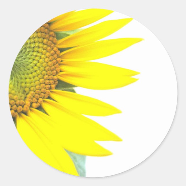 Sticker Rond Tournesols de printemps (Devant)