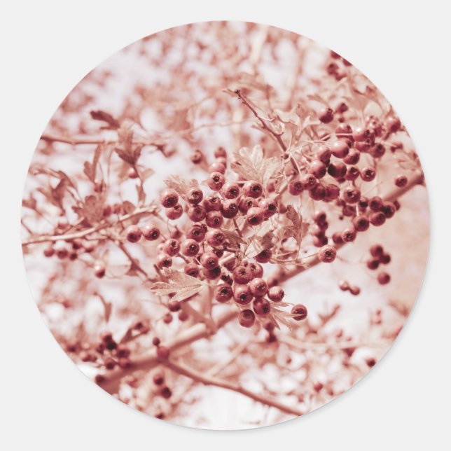 Sticker Rond tout rose (Devant)