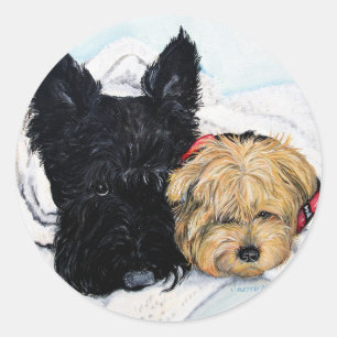 Sticker Rond Toweling ! Scottie et amis de Yorkie