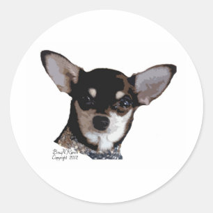 Sticker Rond Toy Chihuahua noir et tan