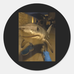 Sticker Rond Tralalero tralala mème de requin
