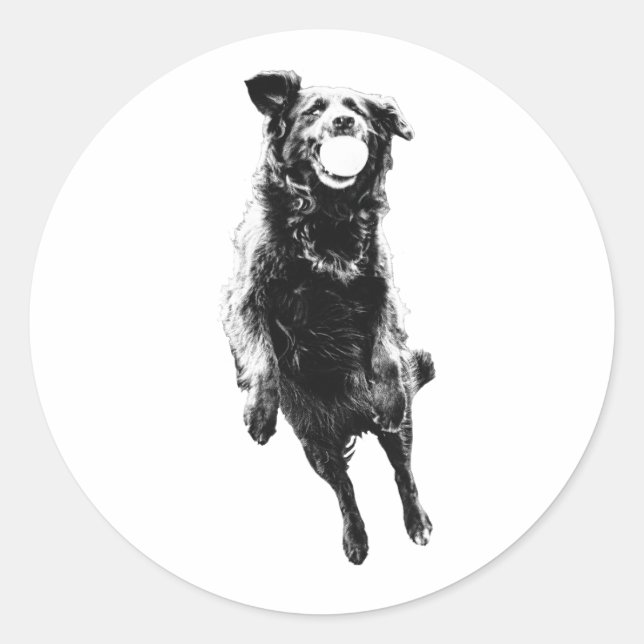 Sticker Rond Transport de balle silencieux (Devant)