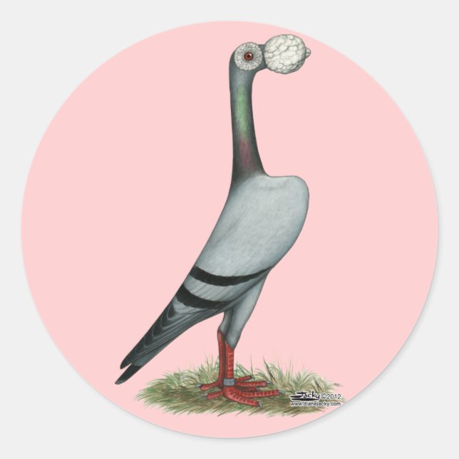 Sticker Rond Transporteur Pigeon 2012 (Devant)