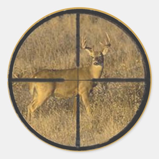 STICKER ROND TRAVERSER LES CHEVEUX. (Devant)