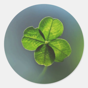 Sticker Rond Trèfle à quatre feuilles Lucky Green
