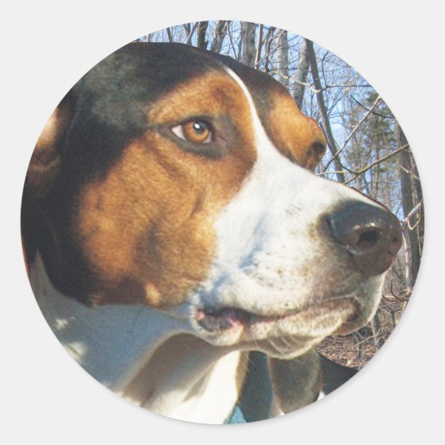 Sticker Rond Trek Walker Coonhound En Bois (Devant)
