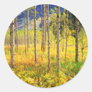 Sticker Rond Trembles en Automne dans les Rocheuses