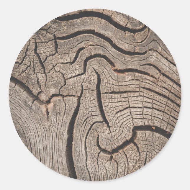Sticker Rond Trendy Wood Wooden Tree Logs (Devant)