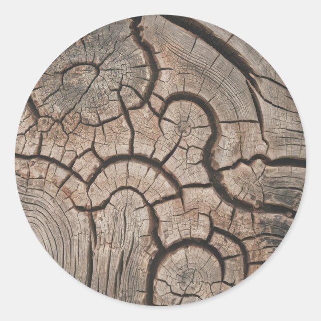 Sticker Rond Trendy Wood Wooden Tree Logs (Devant)