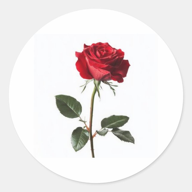 Sticker Rond Très beau, 👍 joli design  (Devant)