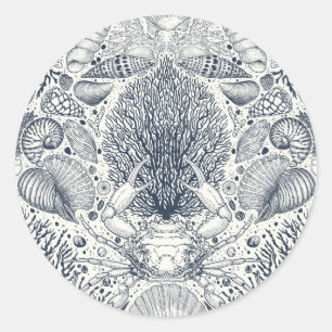 Sticker Rond Trésors de plage, coquillages, crabes, coraux et s