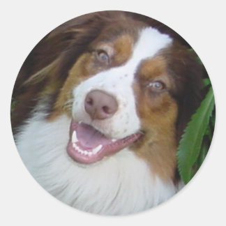 Sticker Rond Tri Aussie Rouge Souriant